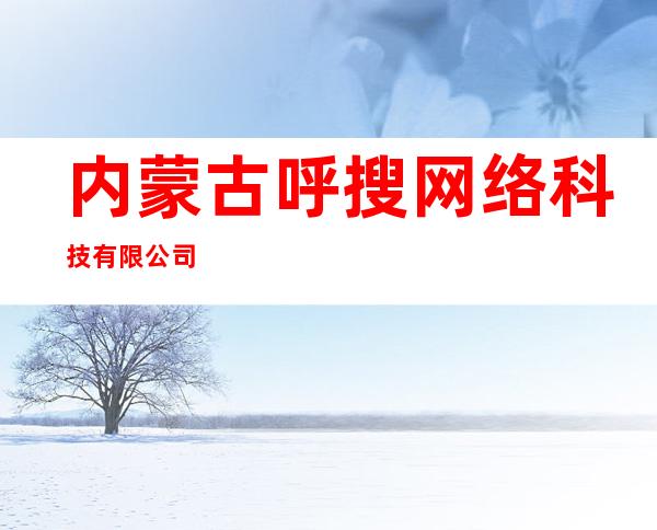 内蒙古呼搜网络科技有限公司
